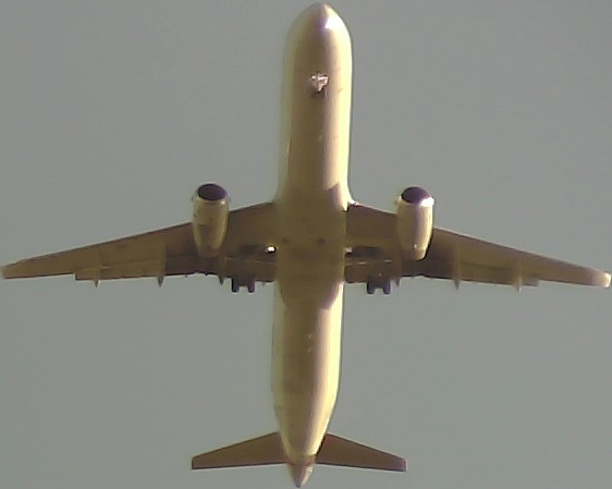 Airplane Picture