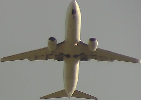 Airplane Picture