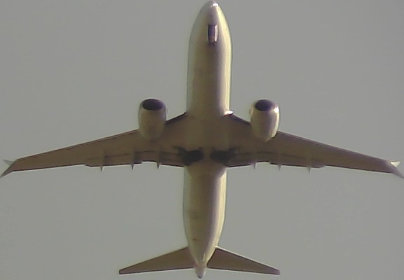 Airplane Picture