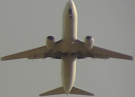 Airplane Picture
