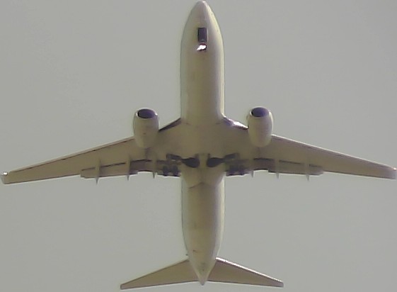 Airplane Picture