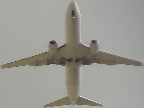Airplane Picture