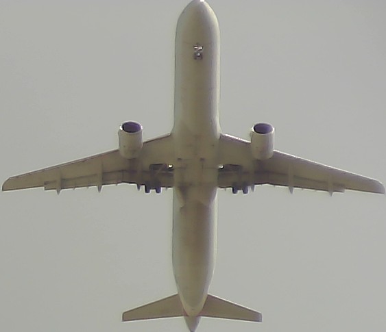 Airplane Picture