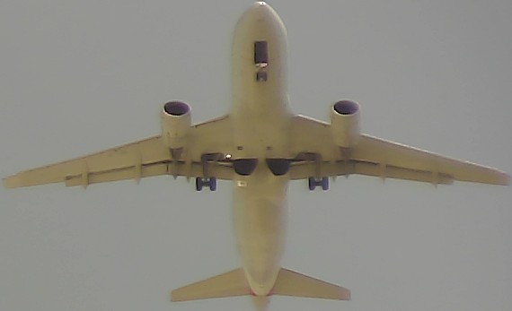 Airplane Picture