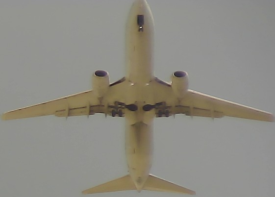 Airplane Picture
