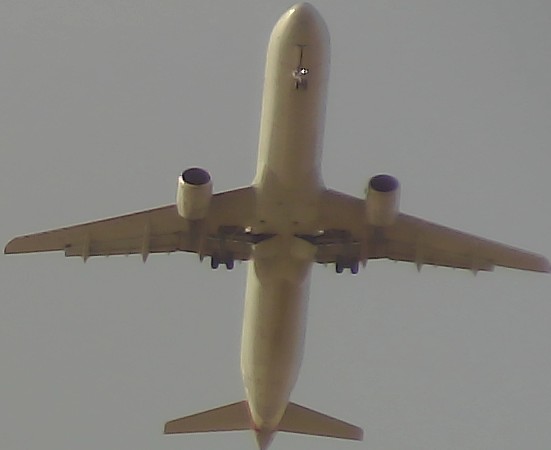 Airplane Picture