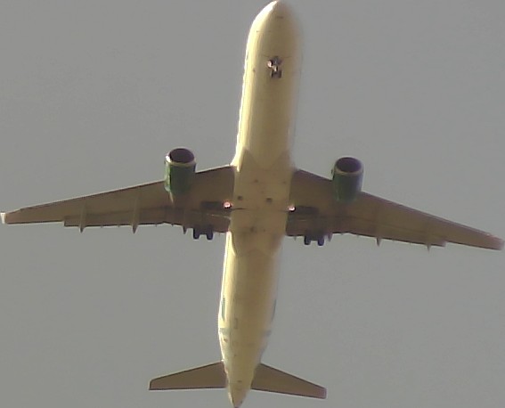 Airplane Picture