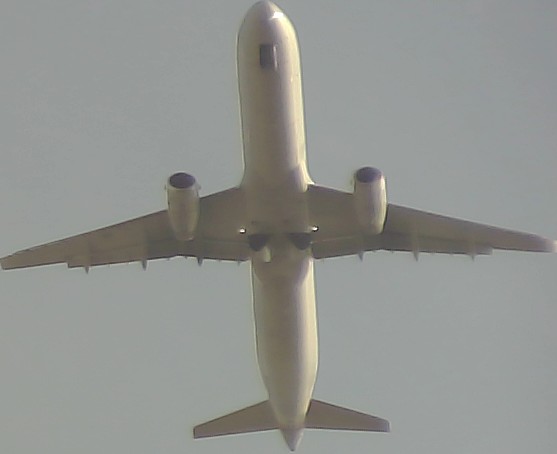 Airplane Picture
