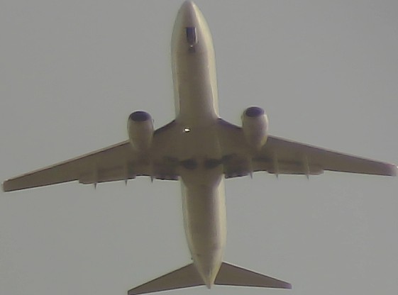 Airplane Picture