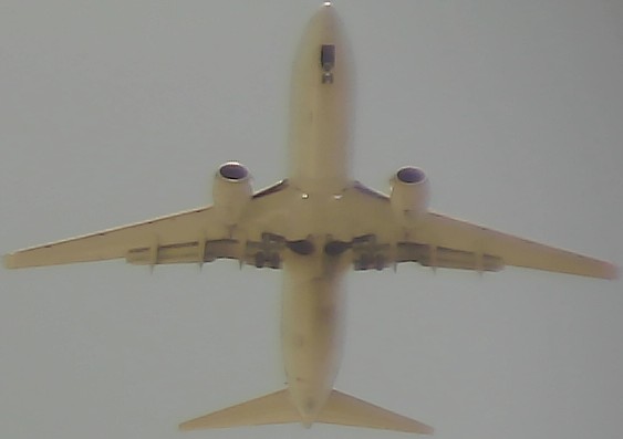 Airplane Picture
