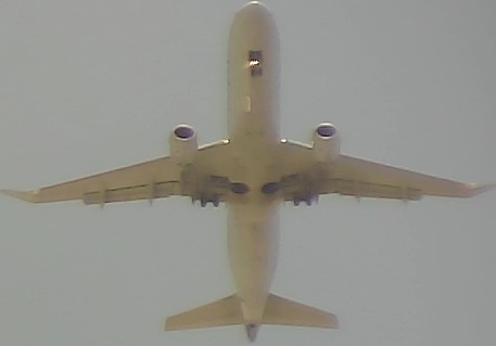 Airplane Picture