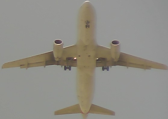 Airplane Picture
