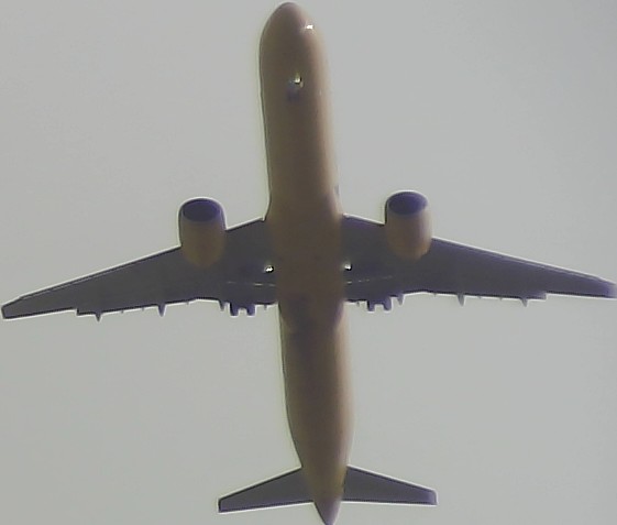 Airplane Picture