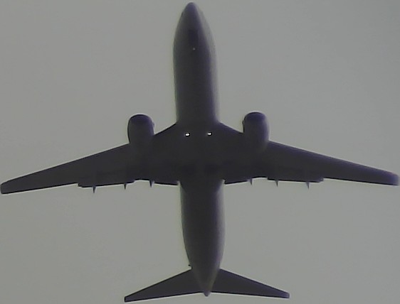 Airplane Picture