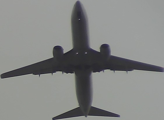 Airplane Picture