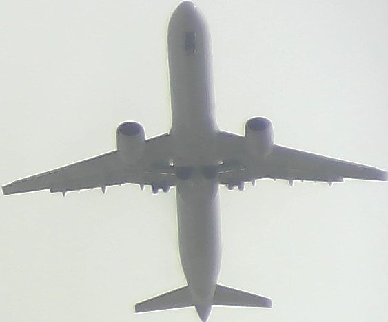 Airplane Picture