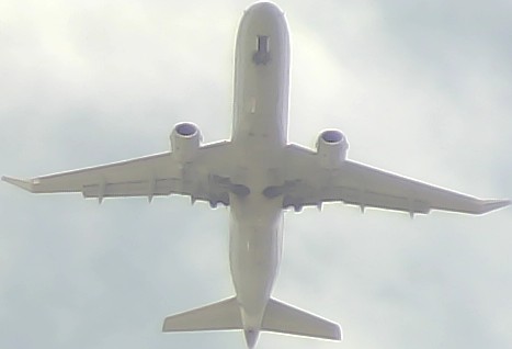 Airplane Picture