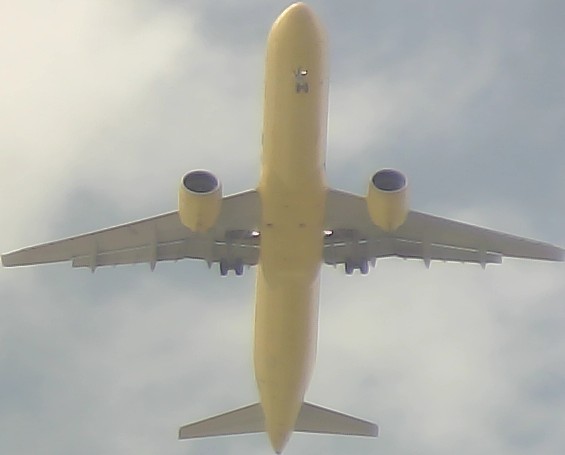Airplane Picture