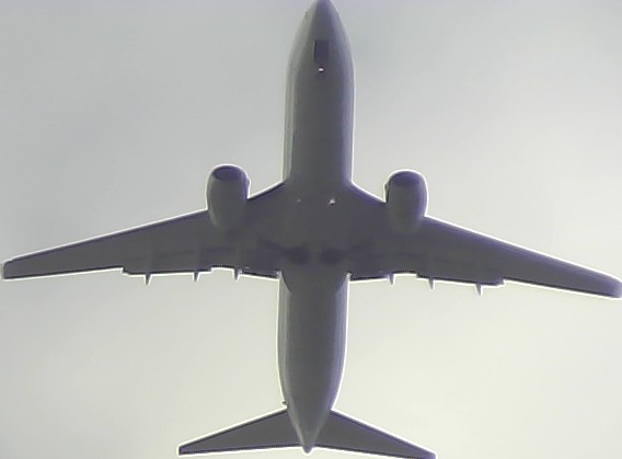 Airplane Picture