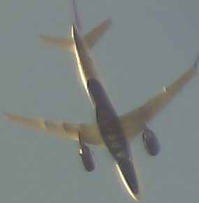 Airplane Picture