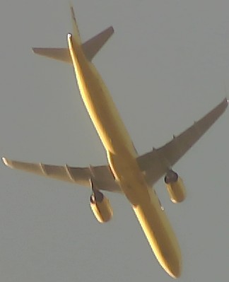 Airplane Picture