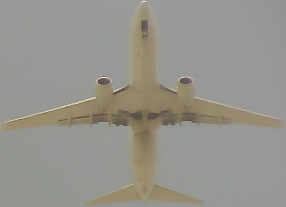 Airplane Picture