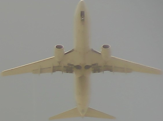Airplane Picture