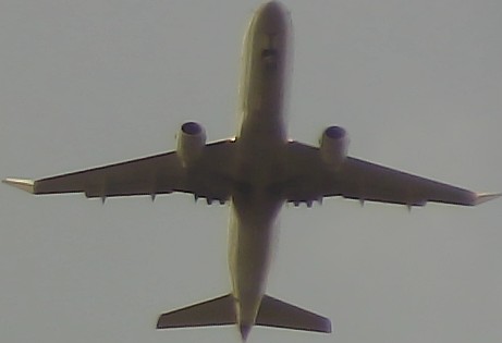 Airplane Picture
