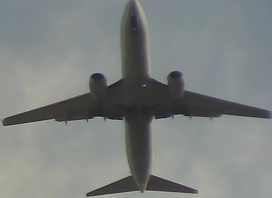 Airplane Picture