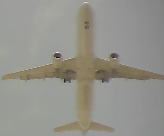 Airplane Picture