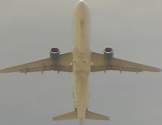 Airplane Picture