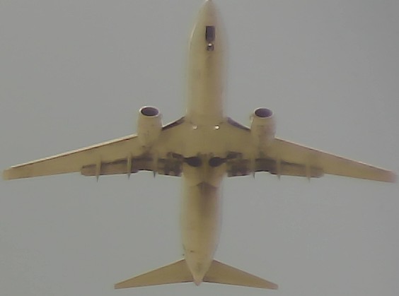 Airplane Picture