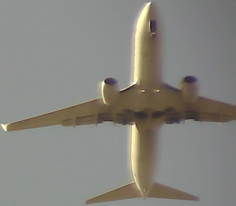Airplane Picture