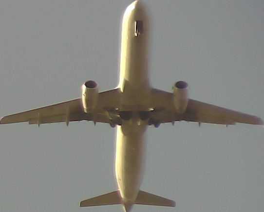 Airplane Picture