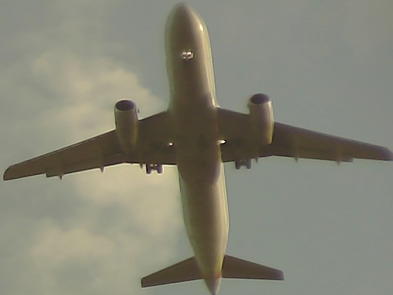 Airplane Picture
