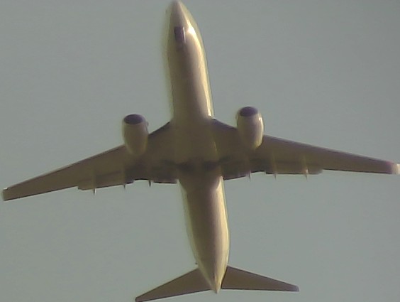 Airplane Picture