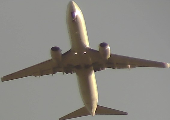 Airplane Picture