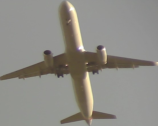 Airplane Picture