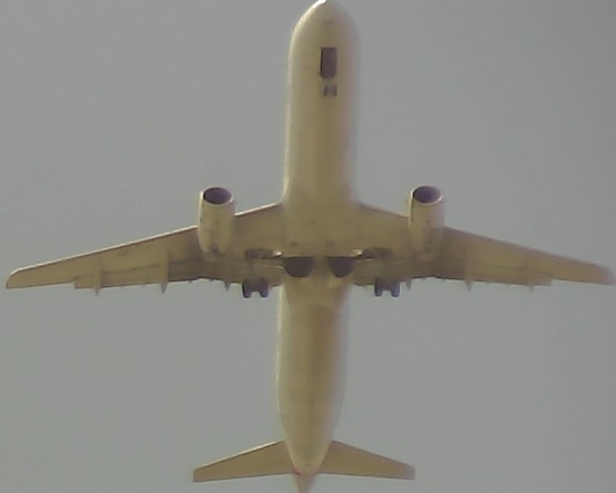 Airplane Picture