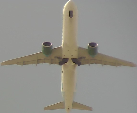 Airplane Picture