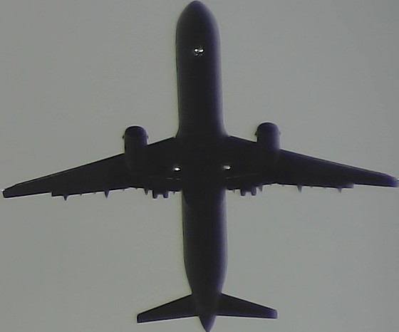 Airplane Picture