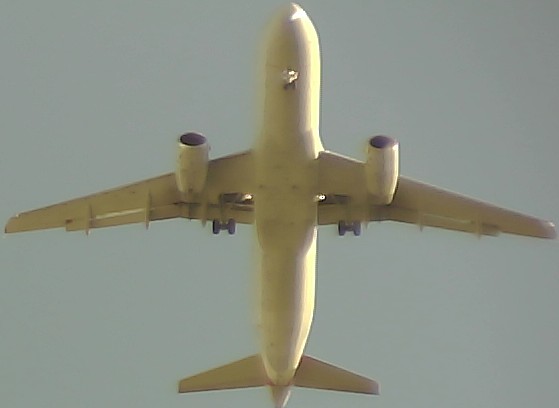 Airplane Picture