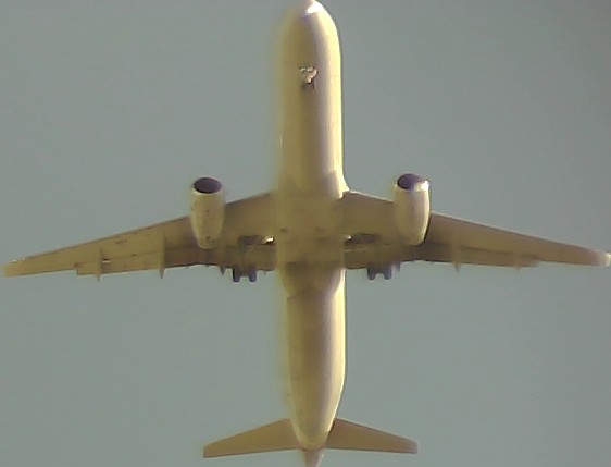 Airplane Picture