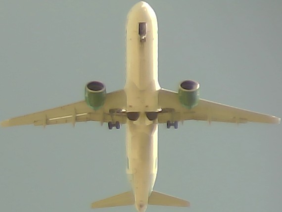 Airplane Picture