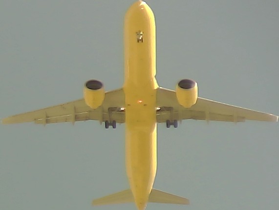 Airplane Picture