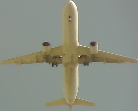 Airplane Picture