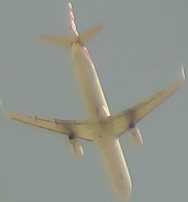 Airplane Picture