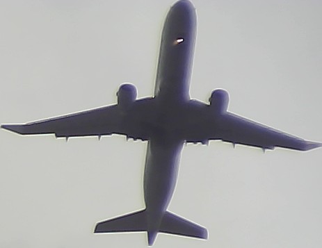 Airplane Picture