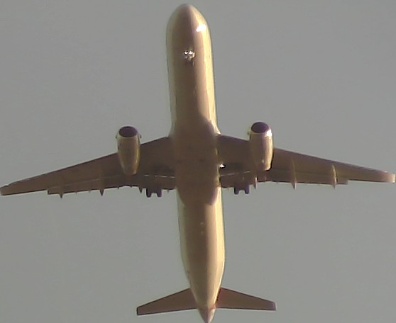 Airplane Picture