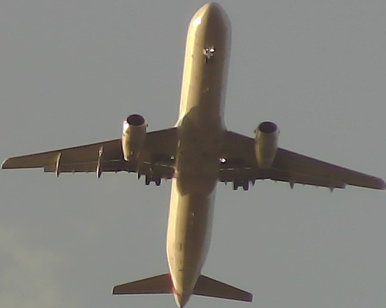Airplane Picture